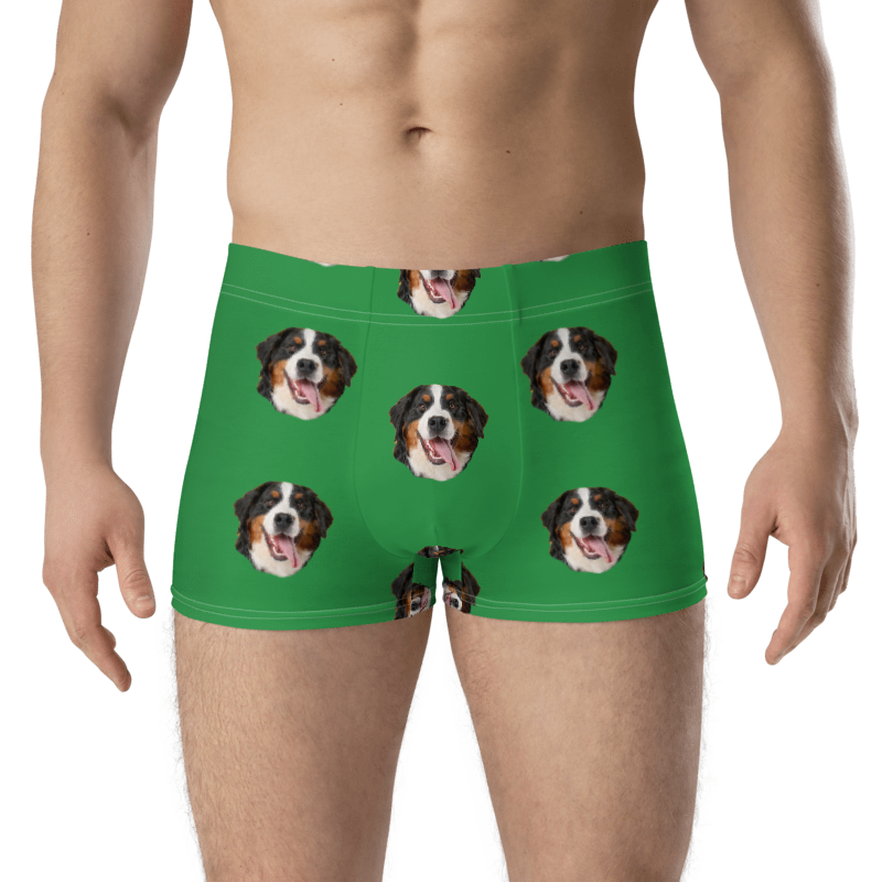 Custom Dog Boxers