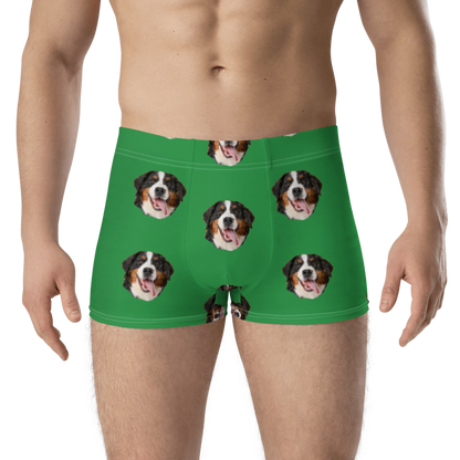 Custom Dog Boxers