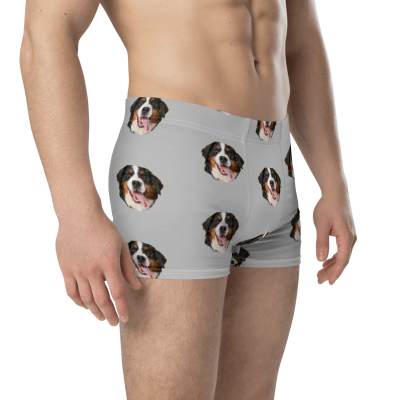 Custom Dog Boxers