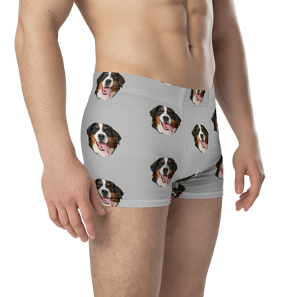 Custom Dog Boxers