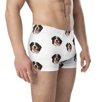 Custom Dog Boxers