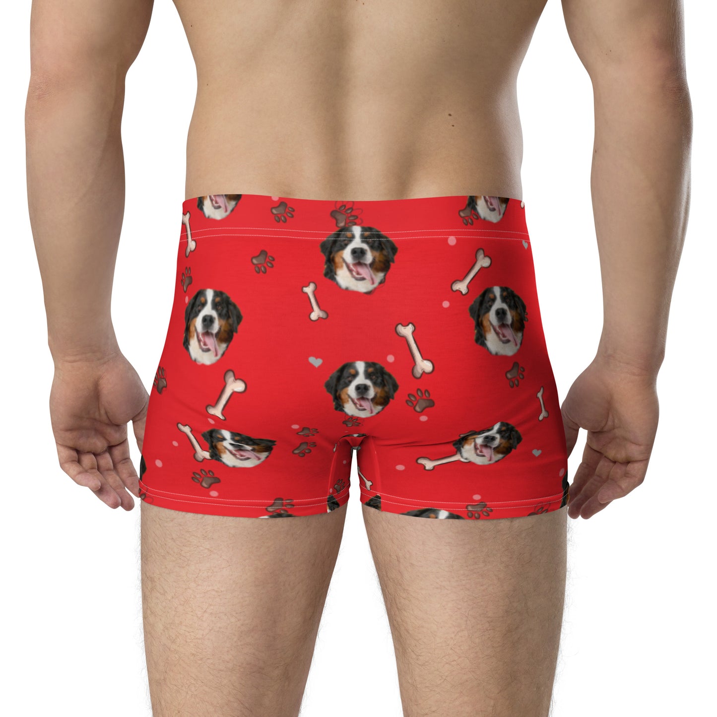 Custom Dog Boxers