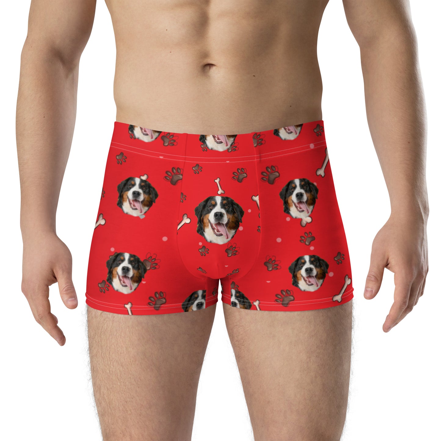 Custom Dog Boxers