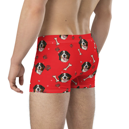 Custom Dog Boxers