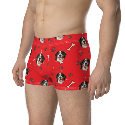 Custom Dog Boxers