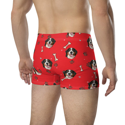 Custom Dog Boxers