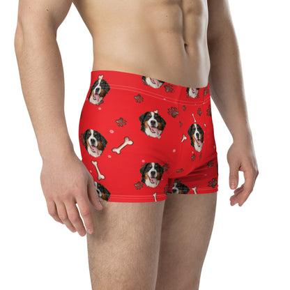 Custom Dog Boxers