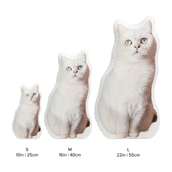 esc size chart image