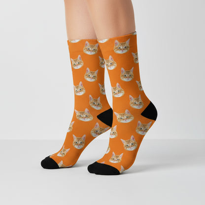 Custom Cat Socks