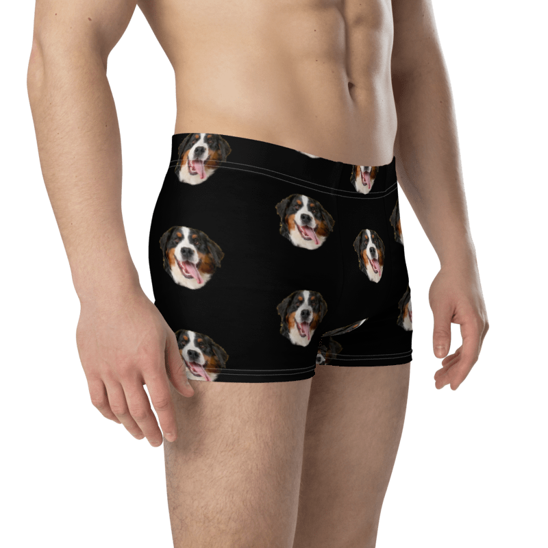 Custom Dog Boxers