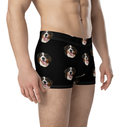 Custom Dog Boxers