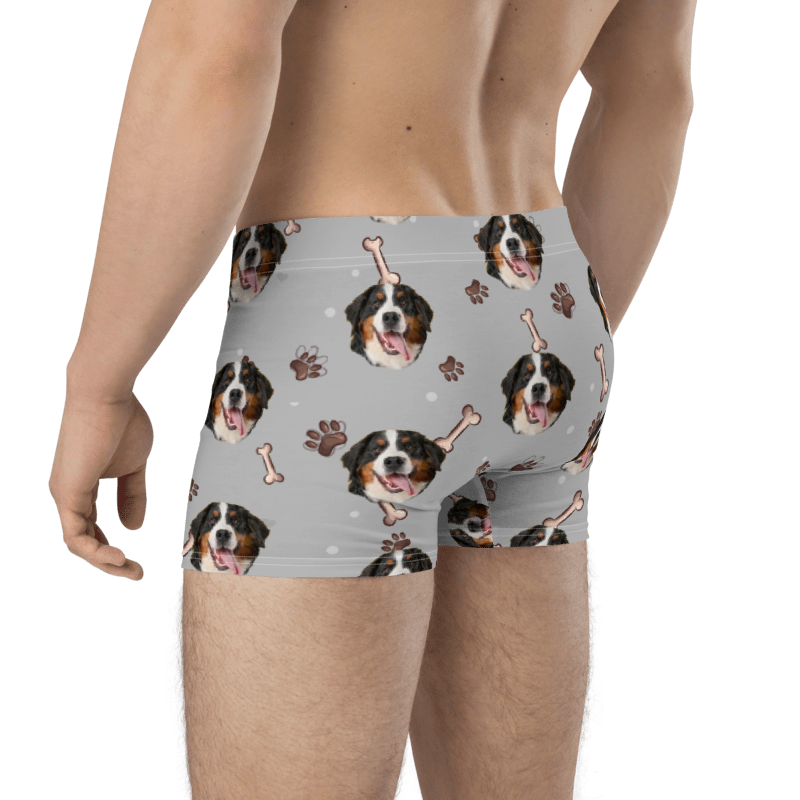 Custom Dog Boxers