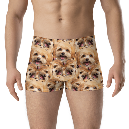 Custom Dog Boxers