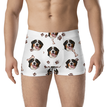 Custom Dog Boxers