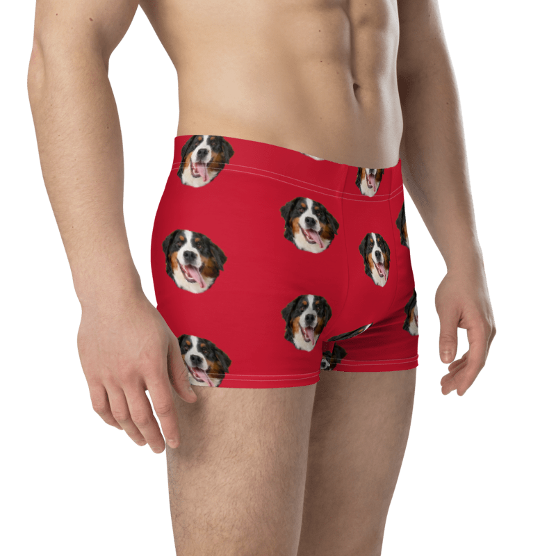 Custom Dog Boxers