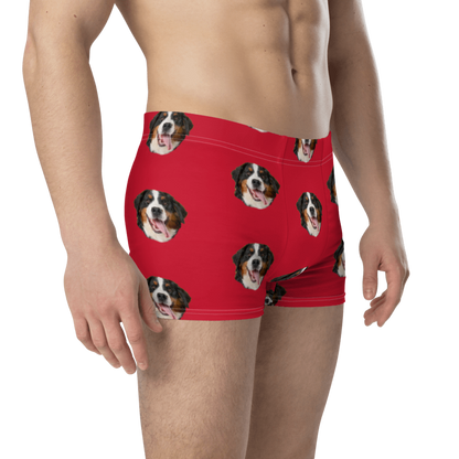 Custom Dog Boxers