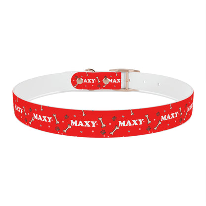 Custom Dog Collar with Name