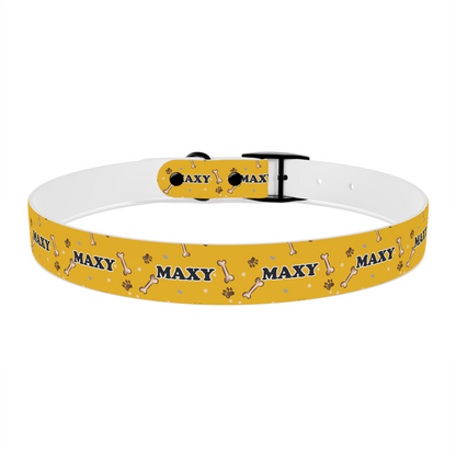 Custom Dog Collar with Name