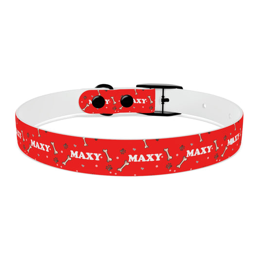 Custom Dog Collar with Name