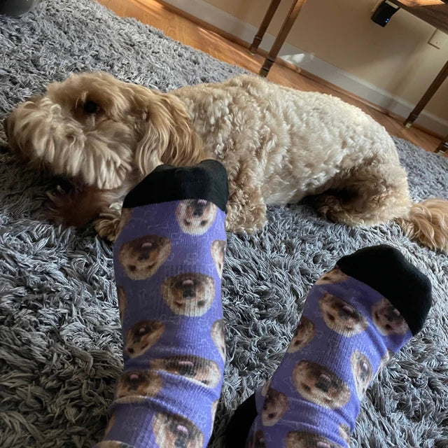 Custom Dog & Pet Socks  Create Personalized Pet Socks with Your Dog's Face  - Cuddle Clones
